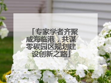 专家学者齐聚威海临港，共谋零碳园区规划建设创新之路