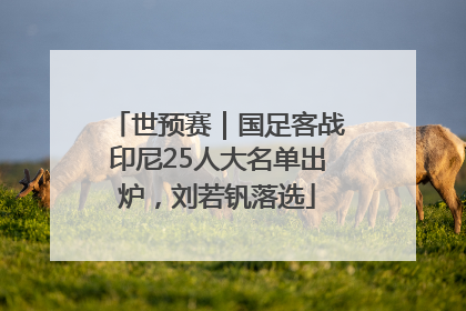 世预赛｜国足客战印尼25人大名单出炉，刘若钒落选