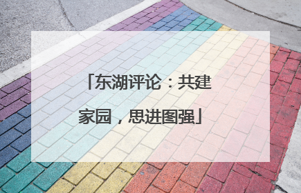 东湖评论：共建家园，思进图强