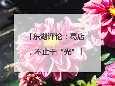 东湖评论：葛店，不止于“光”