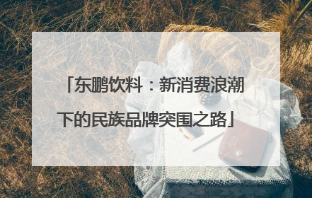 东鹏饮料：新消费浪潮下的民族品牌突围之路