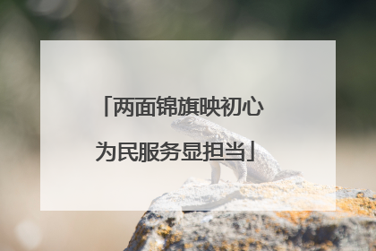 两面锦旗映初心 为民服务显担当