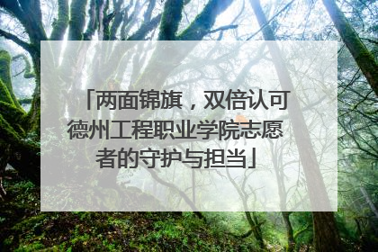 两面锦旗，双倍认可德州工程职业学院志愿者的守护与担当