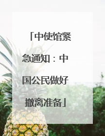 中使馆紧急通知：中国公民做好撤离准备