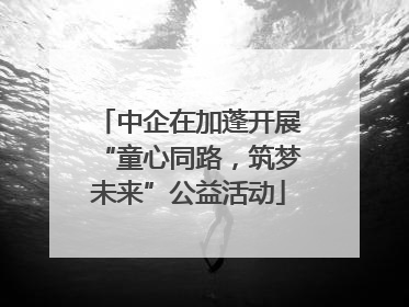 中企在加蓬开展“童心同路，筑梦未来”公益活动
