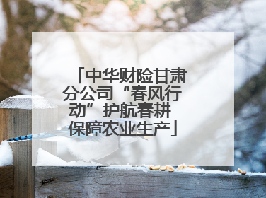 中华财险甘肃分公司“春风行动”护航春耕 保障农业生产