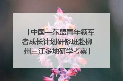 中国—东盟青年领军者成长计划研修班赴柳州三江多地研学考察