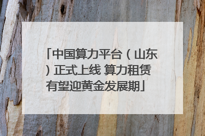 中国算力平台（山东）正式上线 算力租赁有望迎黄金发展期
