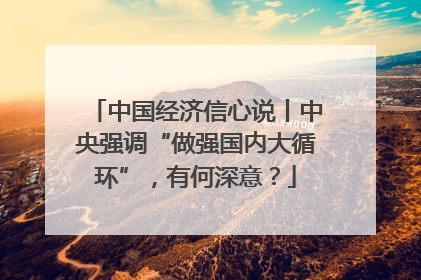 中国经济信心说丨中央强调“做强国内大循环”，有何深意？