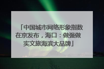 中国城市网络形象指数在京发布，海口：做强做实文旅海滨大品牌