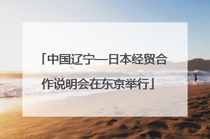 中国辽宁—日本经贸合作说明会在东京举行