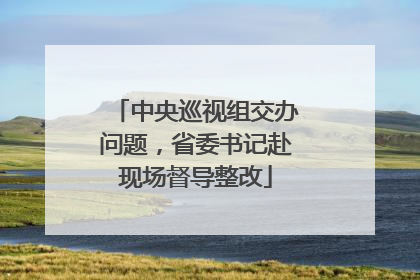 中央巡视组交办问题，省委书记赴现场督导整改