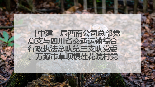 中建一局西南公司总部党总支与四川省交通运输综合行政执法总队第三支队党委、万源市草坝镇莲花院村党支部开展党建联建