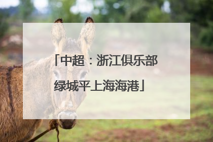 中超：浙江俱乐部绿城平上海海港