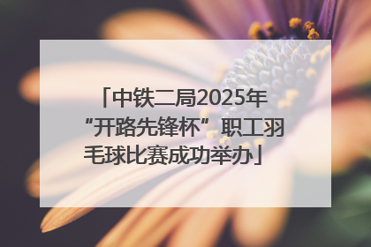 中铁二局2025年“开路先锋杯”职工羽毛球比赛成功举办