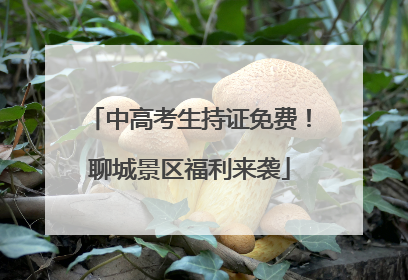 中高考生持证免费！聊城景区福利来袭