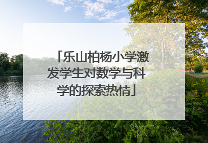 乐山柏杨小学激发学生对数学与科学的探索热情