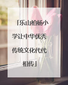 乐山柏杨小学让中华优秀传统文化代代相传