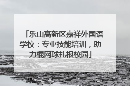 乐山高新区嘉祥外国语学校：专业技能培训，助力棍网球扎根校园