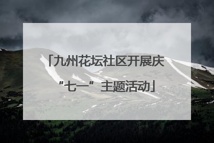 九州花坛社区开展庆“七一”主题活动