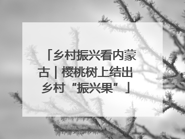 乡村振兴看内蒙古｜樱桃树上结出乡村“振兴果”