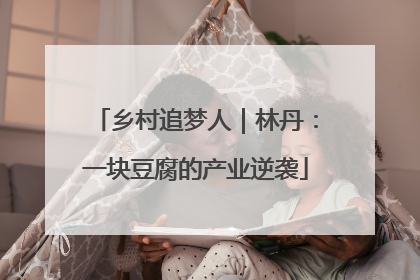乡村追梦人｜林丹：一块豆腐的产业逆袭