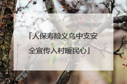 人保寿险义乌中支安全宣传入村暖民心