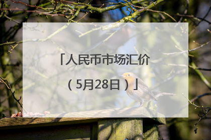 人民币市场汇价（5月28日）