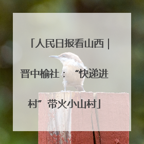 人民日报看山西｜晋中榆社：“快递进村”带火小山村