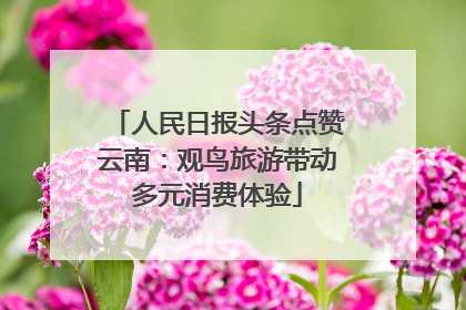 人民日报头条点赞云南：观鸟旅游带动多元消费体验
