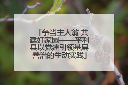 争当主人翁 共建好家园——平利县以党建引领基层善治的生动实践