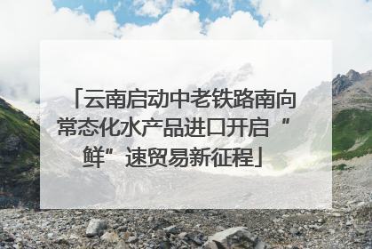 云南启动中老铁路南向常态化水产品进口开启“鲜”速贸易新征程