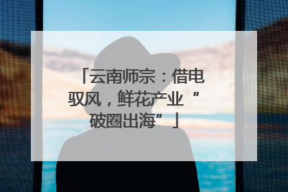 云南师宗：借电驭风，鲜花产业“破圈出海”