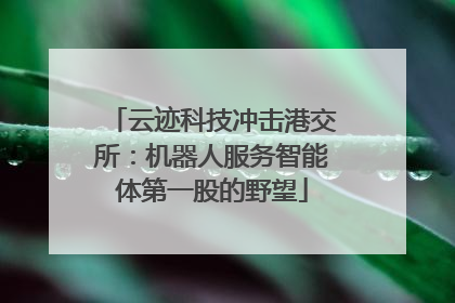 云迹科技冲击港交所：机器人服务智能体第一股的野望