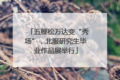 五棵松万达变“秀场”，北服研究生毕业作品展举行