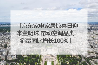 京东家电家居惊喜日迎来董明珠 带动空调品类销量同比增长100%