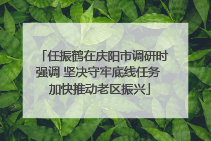 任振鹤在庆阳市调研时强调 坚决守牢底线任务 加快推动老区振兴