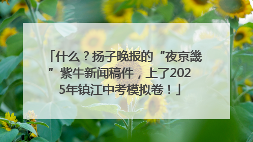什么？扬子晚报的“夜京畿”紫牛新闻稿件，上了2025年镇江中考模拟卷！