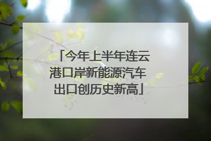 今年上半年连云港口岸新能源汽车出口创历史新高