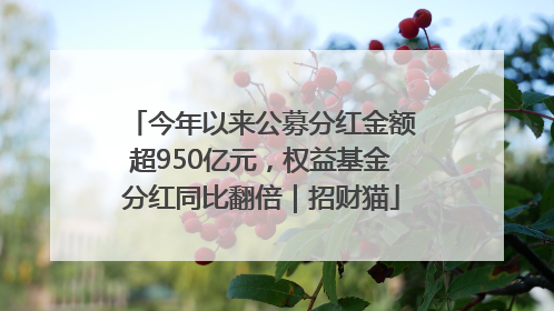 今年以来公募分红金额超950亿元，权益基金分红同比翻倍｜招财猫
