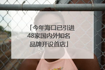 今年海口已引进48家国内外知名品牌开设首店