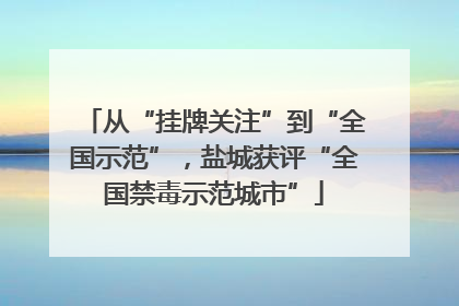 从“挂牌关注”到“全国示范”，盐城获评“全国禁毒示范城市”