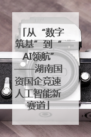 从“数字筑基”到“AI领航”——湖南国资国企竞速人工智能新赛道