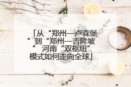 从“郑州—卢森堡”到“郑州—吉隆坡” 河南“双枢纽”模式如何走向全球