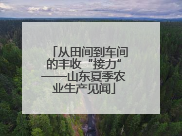 从田间到车间的丰收“接力”——山东夏季农业生产见闻