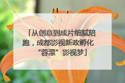 从创意到成片细腻陪跑，成都影视新政孵化“蓉漂”影视梦
