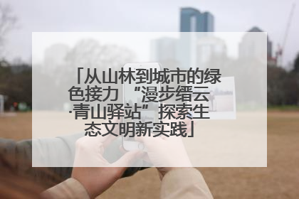 从山林到城市的绿色接力 “漫步缙云·青山驿站”探索生态文明新实践