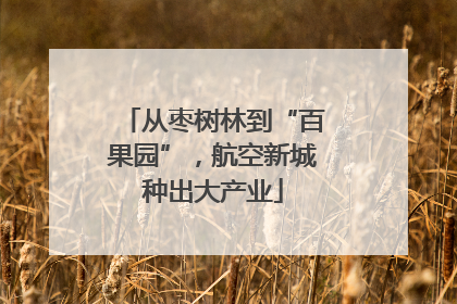 从枣树林到“百果园”，航空新城种出大产业