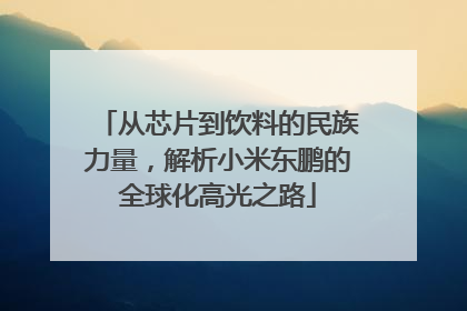 从芯片到饮料的民族力量，解析小米东鹏的全球化高光之路