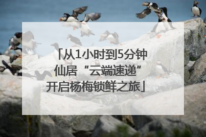 从1小时到5分钟 仙居“云端速递”开启杨梅锁鲜之旅